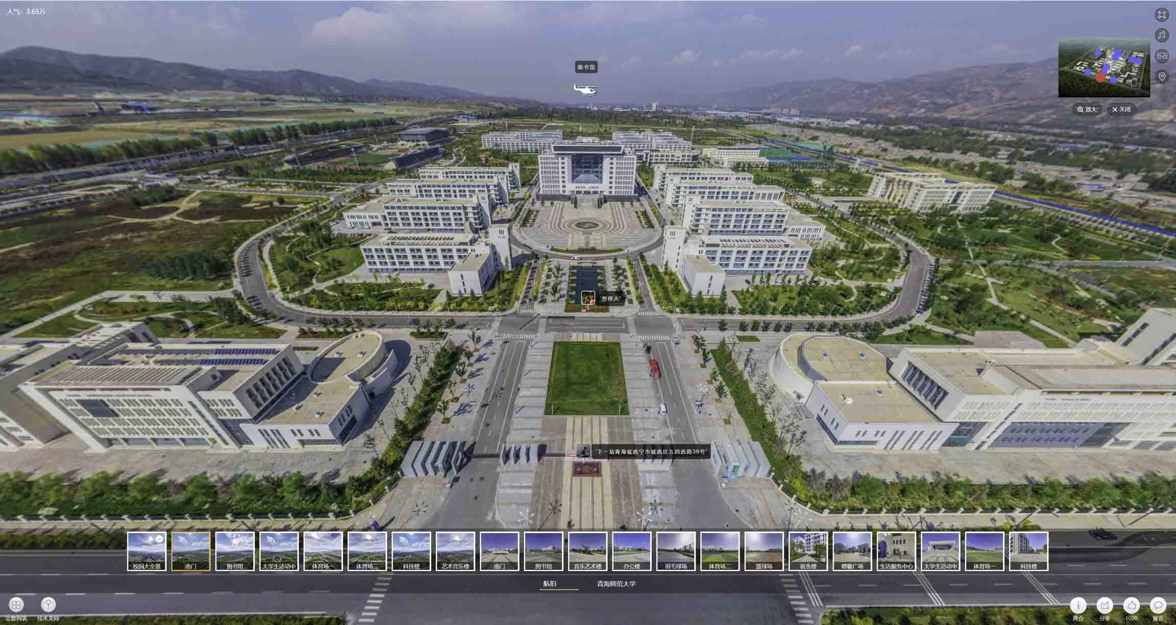 徐汇油菜花-惊艳半生的花海仙境